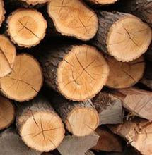 Best Woods for Smoking